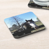 Bruin en wit, gekleurd paard, heldere blauwe hemel bier onderzetter (Linkerzijde)