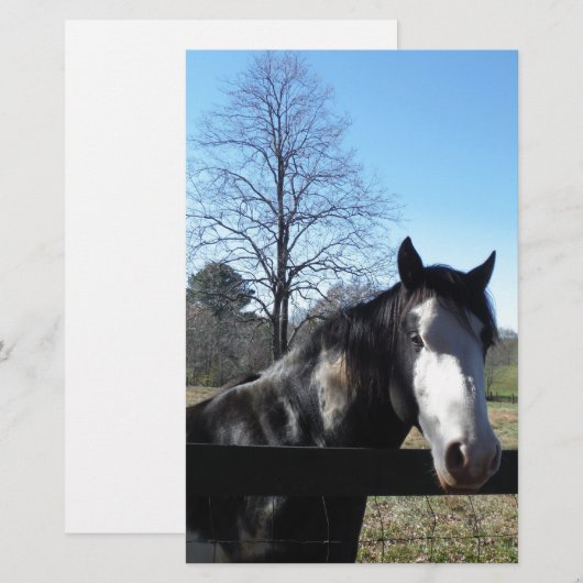 Bruin en wit, gekleurd paard, heldere blauwe hemel briefpapier (Voorkant / Achterkant)