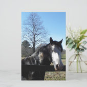 Bruin en wit, gekleurd paard, heldere blauwe hemel briefpapier (Staand voorkant)