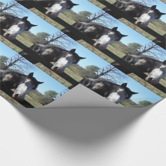 Bruin en wit, gekleurd paard, heldere blauwe hemel cadeaupapier (Hoek)