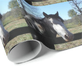 Bruin en wit, gekleurd paard, heldere blauwe hemel cadeaupapier (Rol Hoek)