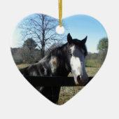 Bruin en wit, gekleurd paard, heldere blauwe hemel keramisch ornament (Voorkant)