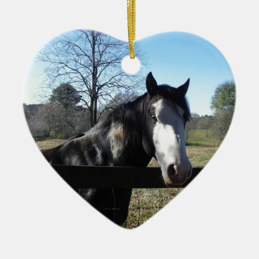 Bruin en wit, gekleurd paard, heldere blauwe hemel keramisch ornament (Voorkant)