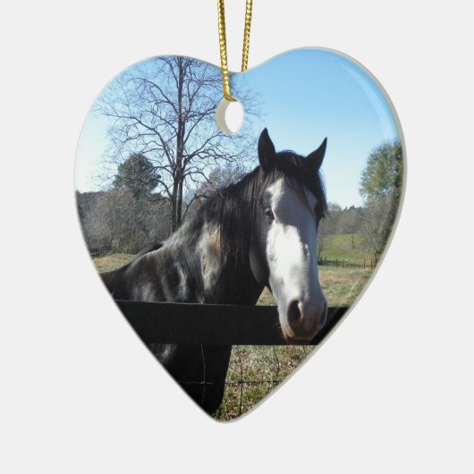 Bruin en wit, gekleurd paard, heldere blauwe hemel keramisch ornament (Links)