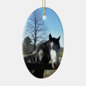 Bruin en wit, gekleurd paard, heldere blauwe hemel keramisch ornament (Rechts)