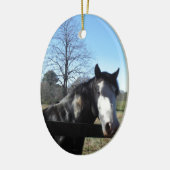 Bruin en wit, gekleurd paard, heldere blauwe hemel keramisch ornament (Links)