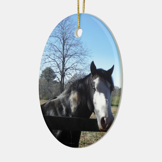 Bruin en wit, gekleurd paard, heldere blauwe hemel keramisch ornament (Links)