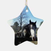 Bruin en wit, gekleurd paard, heldere blauwe hemel keramisch ornament (Rechts)