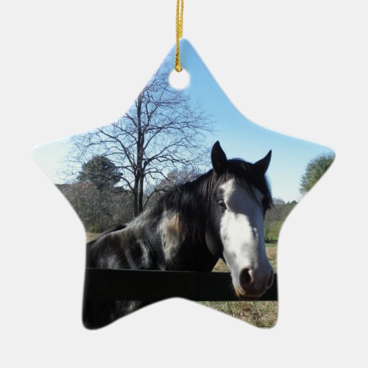 Bruin en wit, gekleurd paard, heldere blauwe hemel keramisch ornament (Voorkant)
