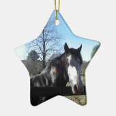 Bruin en wit, gekleurd paard, heldere blauwe hemel keramisch ornament (Links)