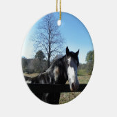 Bruin en wit, gekleurd paard, heldere blauwe hemel keramisch ornament (Rechts)