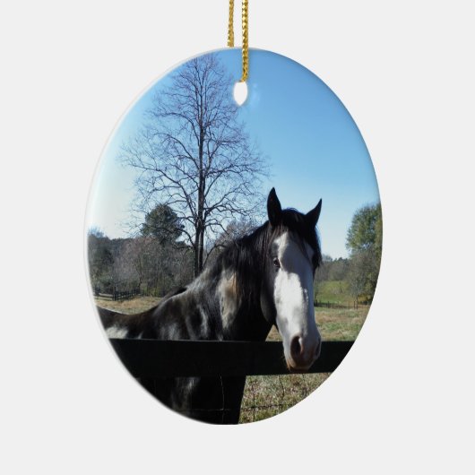 Bruin en wit, gekleurd paard, heldere blauwe hemel keramisch ornament (Rechts)