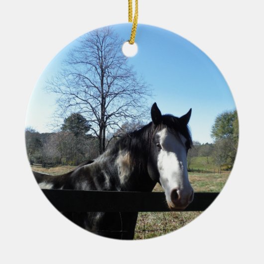 Bruin en wit, gekleurd paard, heldere blauwe hemel keramisch ornament (Voorkant)