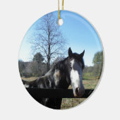 Bruin en wit, gekleurd paard, heldere blauwe hemel keramisch ornament (Links)