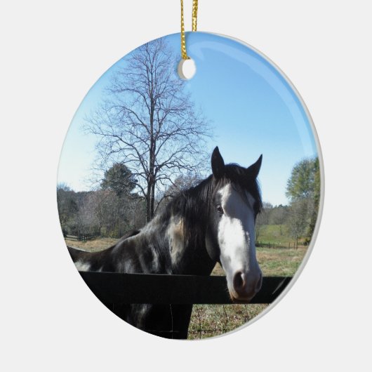 Bruin en wit, gekleurd paard, heldere blauwe hemel keramisch ornament (Links)