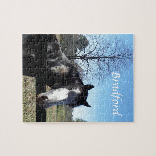 Bruin en wit, gekleurd paard, heldere blauwe hemel legpuzzel (Horizontaal)