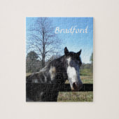 Bruin en wit, gekleurd paard, heldere blauwe hemel legpuzzel (Verticaal)