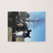 Bruin en wit, gekleurd paard, heldere blauwe hemel legpuzzel (Horizontaal)
