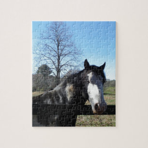 Bruin en wit, gekleurd paard, heldere blauwe hemel legpuzzel