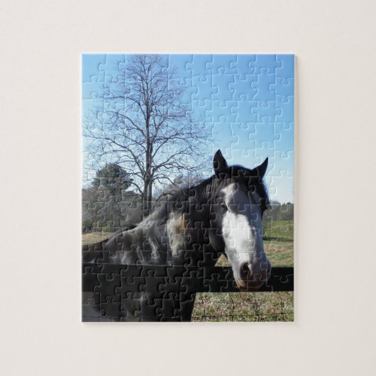 Bruin en wit, gekleurd paard, heldere blauwe hemel legpuzzel (Verticaal)
