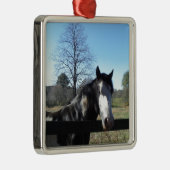 Bruin en wit, gekleurd paard, heldere blauwe hemel metalen ornament (Rechts)