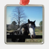 Bruin en wit, gekleurd paard, heldere blauwe hemel metalen ornament (Voorkant)