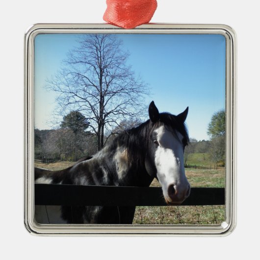 Bruin en wit, gekleurd paard, heldere blauwe hemel metalen ornament (Voorkant)