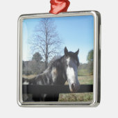 Bruin en wit, gekleurd paard, heldere blauwe hemel metalen ornament (Links)