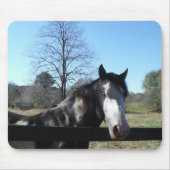 Bruin en wit, gekleurd paard, heldere blauwe hemel muismat (Voorkant)