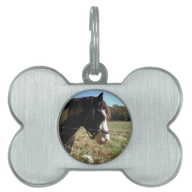 Bruin en wit, geverfd paard, koninginnenpalm huisdieren naamplaatje (voorkant)