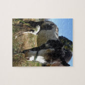 Bruin en wit, geverfd paard, koninginnenpalm legpuzzel (Horizontaal)