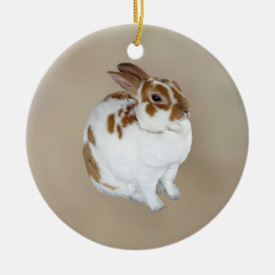 Bruin en wit konijn keramisch ornament