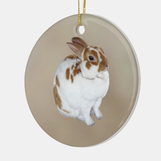 Bruin en wit konijn keramisch ornament (Links)