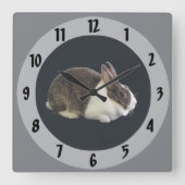 Bruin en wit Nederlands konijn Vierkante Klok (Voorkant)