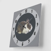 Bruin en wit Nederlands konijn Vierkante Klok (Hoek)