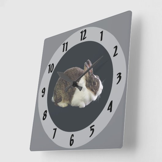 Bruin en wit Nederlands konijn Vierkante Klok (Hoek)