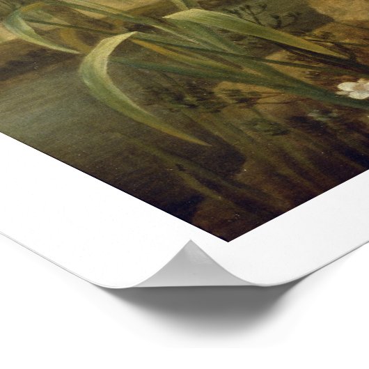 Bruin en wit Norfolk of Water Spaniel, 1778 (olie Poster (Hoek)