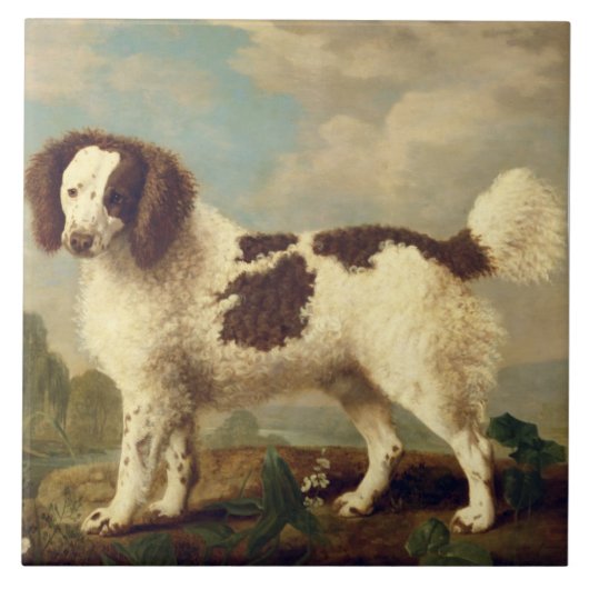 Bruin en wit Norfolk of Water Spaniel, 1778 (olie Tegeltje (Voorkant)