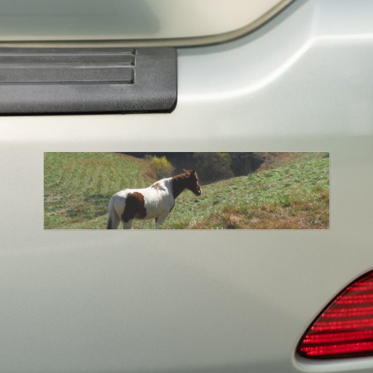 Bruin en wit paard in najaarsvijver bumpersticker (Op auto)