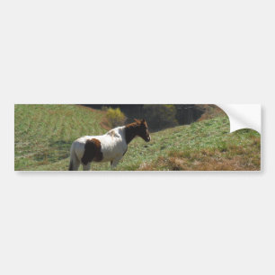 Bruin en wit paard in najaarsvijver bumpersticker