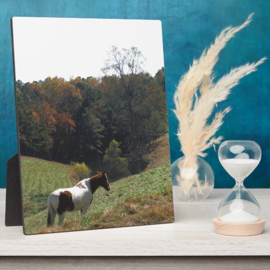 Bruin en wit paard in najaarsvijver fotoplaat (Zijkant)