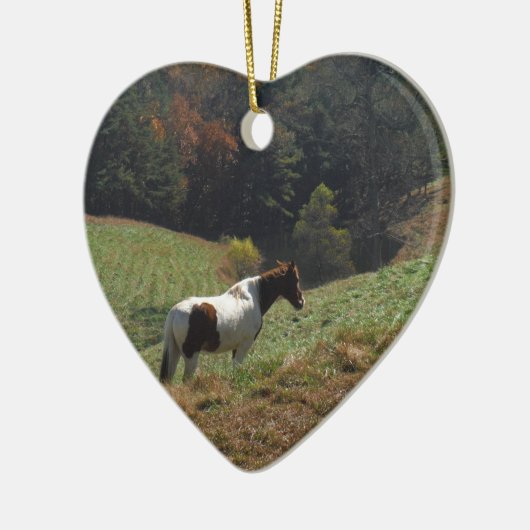 Bruin en wit paard in najaarsvijver keramisch ornament (Links)