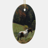 Bruin en wit paard in najaarsvijver keramisch ornament (Rechts)