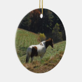 Bruin en wit paard in najaarsvijver keramisch ornament (Rechts)