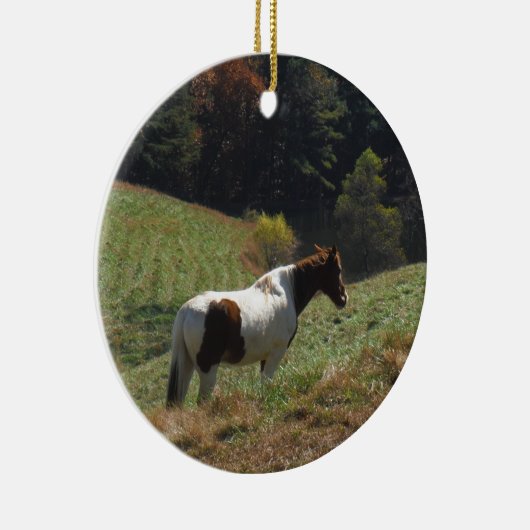 Bruin en wit paard in najaarsvijver keramisch ornament (Rechts)