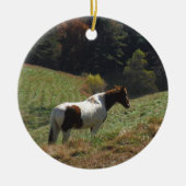 Bruin en wit paard in najaarsvijver keramisch ornament (Voorkant)