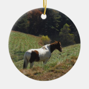 Bruin en wit paard in najaarsvijver keramisch ornament