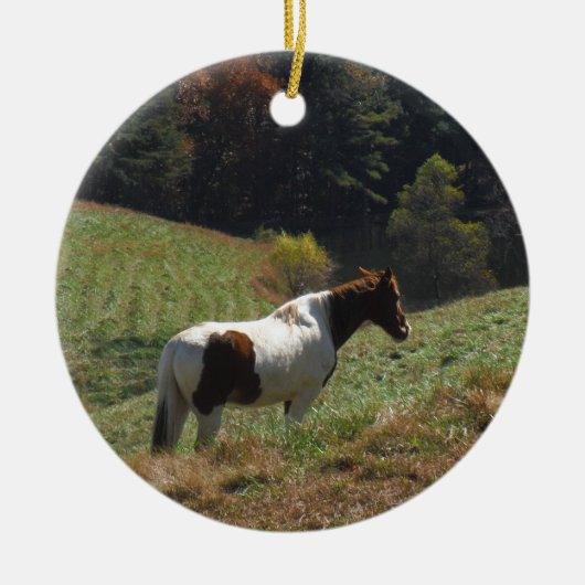 Bruin en wit paard in najaarsvijver keramisch ornament (Voorkant)