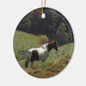 Bruin en wit paard in najaarsvijver keramisch ornament (Links)