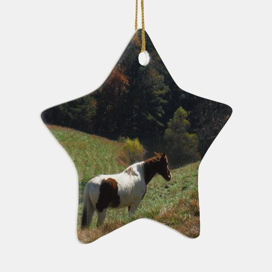 Bruin en wit paard in najaarsvijver keramisch ornament (Rechts)